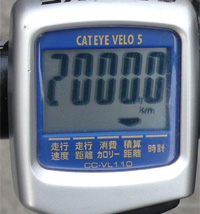 00001247.jpg